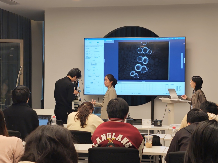 1762848813158904.png image.png