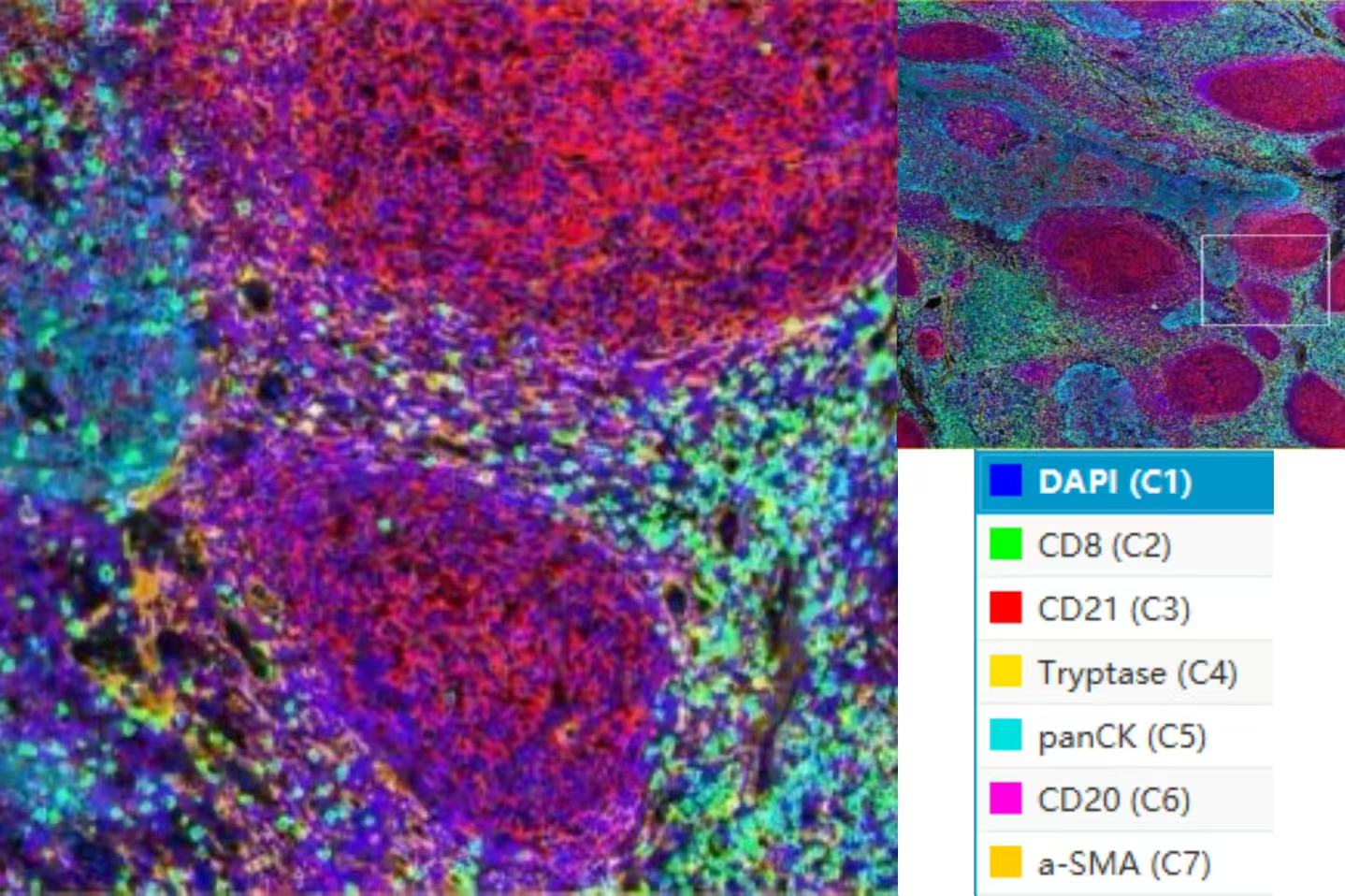 1775307428251444.jpg 12.jpg