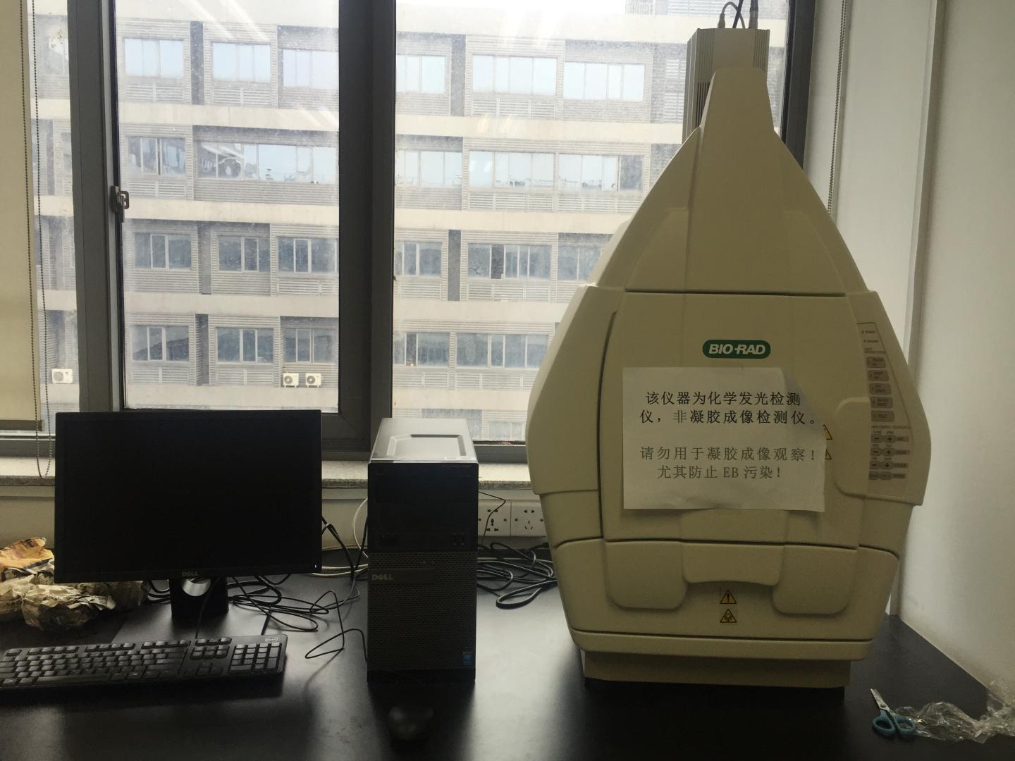 化学发光成像系统